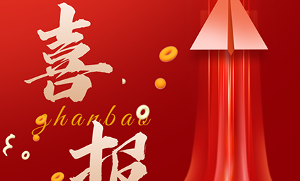 喜讯|中国石油天然气集团有限公司2024年通用仪器仪表（分析仪器）集中采购项目，诺安智能有毒IM官方网页版榜首中标